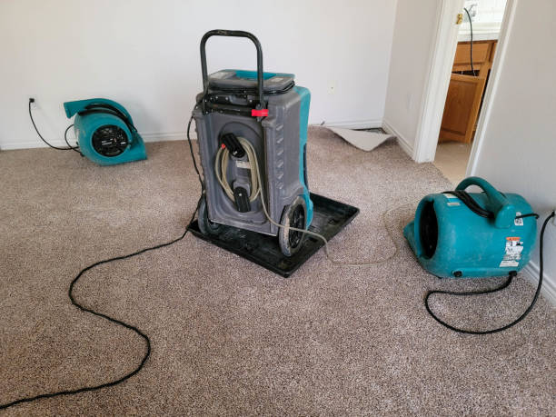 Best Flood damage cleanup  in El Paso, TX