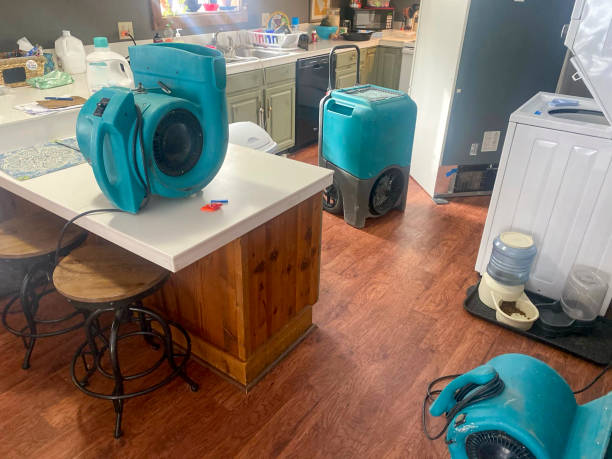 Best Carpet water damage restoration  in El Paso, TX