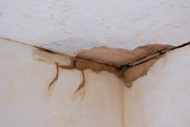 Trusted El Paso, TX Water damage restoration Experts