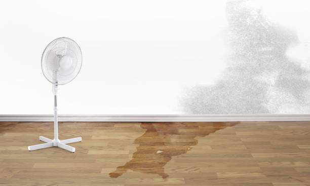 Best Carpet water damage restoration  in El Paso, TX