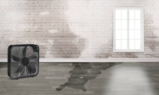 Best Water damage repair service  in El Paso, TX