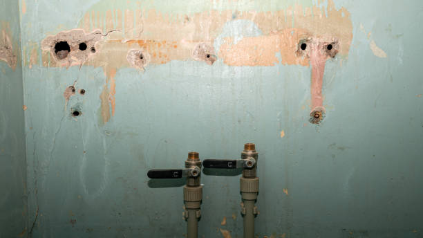 Best Water damage restoration experts  in El Paso, TX